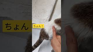 Thumbnail of post image 109