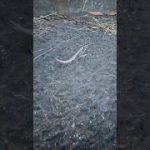 Thumbnail of related posts 049