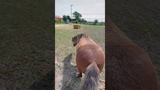 Thumbnail of post image 152