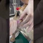 Thumbnail of related posts 035