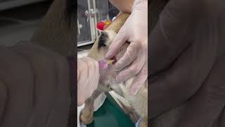 Thumbnail of post image 038