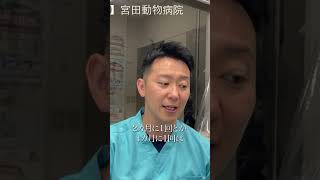 Thumbnail of post image 043