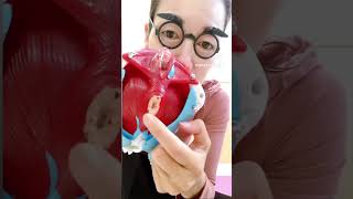 Thumbnail of post image 036