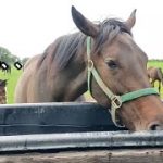 Thumbnail of related posts 121