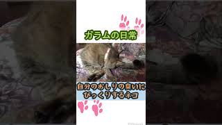 Thumbnail of post image 048