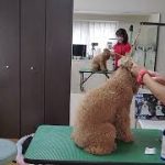 Thumbnail of related posts 106