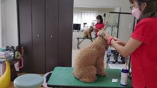 Thumbnail of post image 115