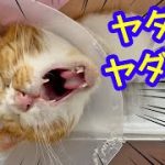 Thumbnail of related posts 064