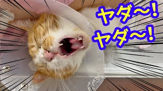 Thumbnail of post image 014