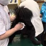 Thumbnail of related posts 188