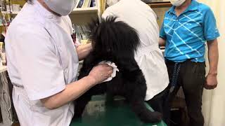 Thumbnail of post image 186