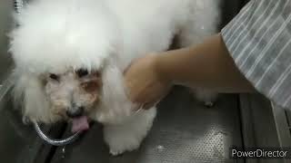 Thumbnail of post image 101