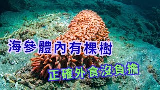 Thumbnail of post image 167