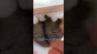 Thumbnail of post image 101