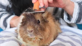 Thumbnail of post image 139