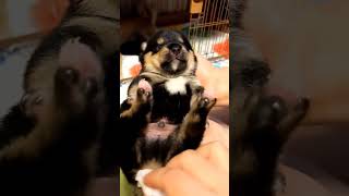 Thumbnail of post image 146