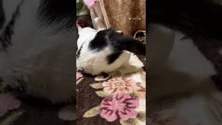 Thumbnail of post image 096