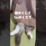 Thumbnail of related posts 032