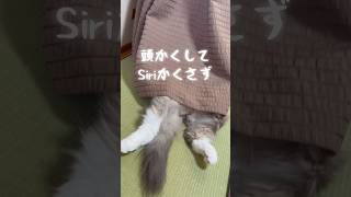 Thumbnail of post image 151