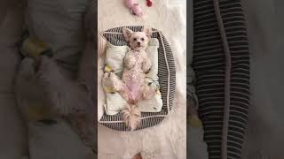 Thumbnail of post image 049