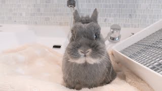 Thumbnail of post image 136