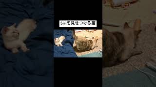 Thumbnail of post image 057