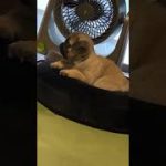 Thumbnail of related posts 000