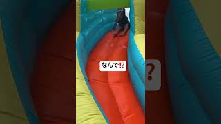 Thumbnail of post image 078