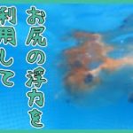 Thumbnail of related posts 152