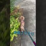 Thumbnail of related posts 120