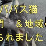 Thumbnail of related posts 199