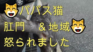 Thumbnail of post image 065