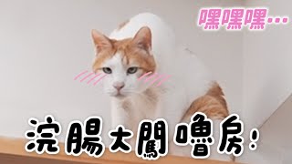 Thumbnail of post image 084