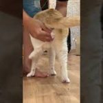 Thumbnail of related posts 081