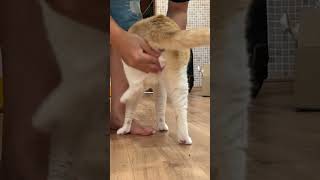 Thumbnail of post image 009