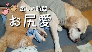 Thumbnail of post image 189