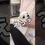 Thumbnail of related posts 070