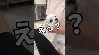 Thumbnail of post image 157