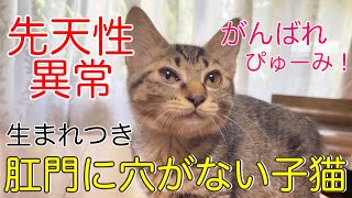 Thumbnail of post image 093