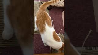 Thumbnail of post image 127