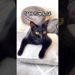 Thumbnail of related posts 147