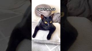 Thumbnail of post image 059