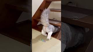 Thumbnail of post image 119