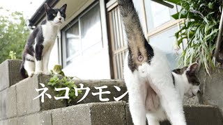 Thumbnail of post image 073