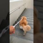 Thumbnail of related posts 142