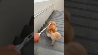 Thumbnail of post image 100