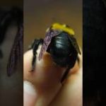 Thumbnail of related posts 027