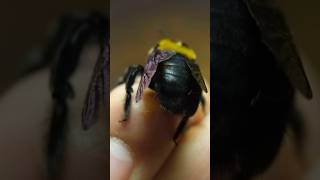 Thumbnail of post image 089