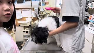 Thumbnail of post image 149