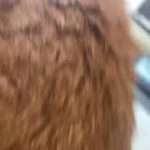 Thumbnail of related posts 044
